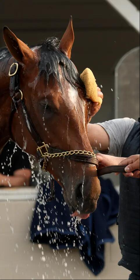 Journalism favored in our Kentucky Derby odds