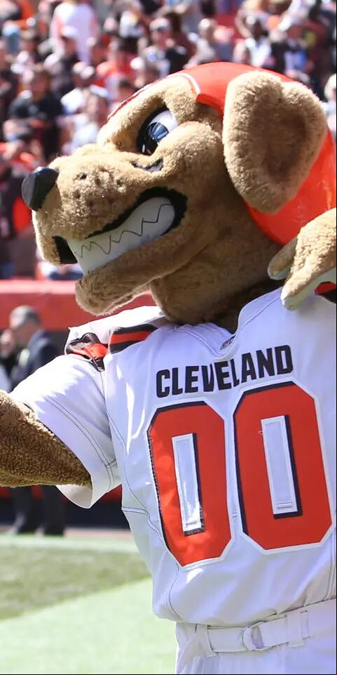 Browns NFL